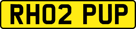 RH02PUP