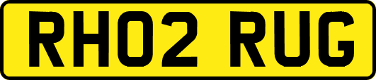 RH02RUG