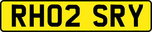 RH02SRY
