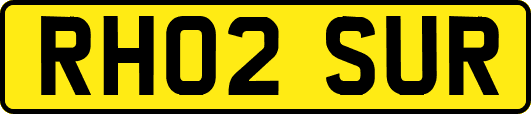 RH02SUR