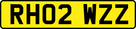 RH02WZZ