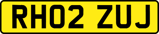 RH02ZUJ