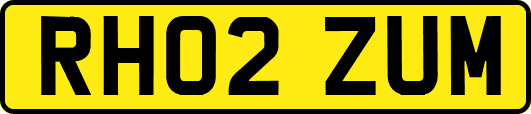 RH02ZUM
