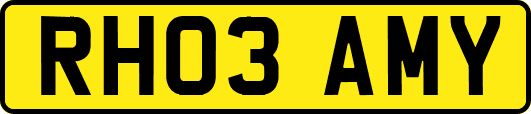 RH03AMY