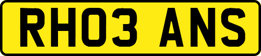 RH03ANS