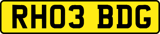 RH03BDG