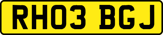 RH03BGJ