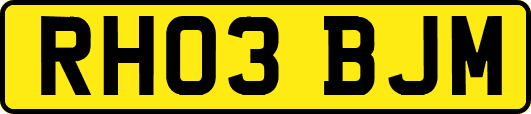 RH03BJM