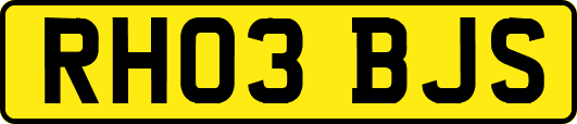 RH03BJS