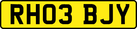 RH03BJY