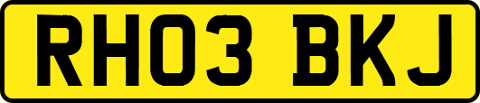 RH03BKJ