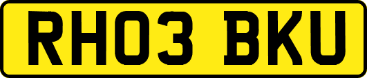 RH03BKU