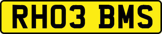 RH03BMS