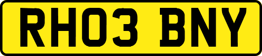 RH03BNY