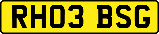 RH03BSG