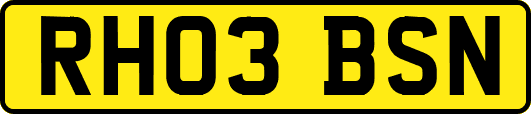 RH03BSN