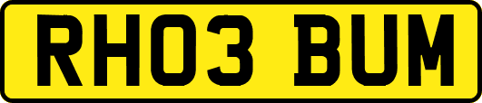 RH03BUM