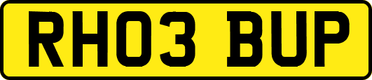 RH03BUP