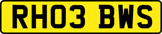 RH03BWS