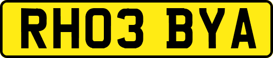 RH03BYA