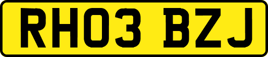 RH03BZJ