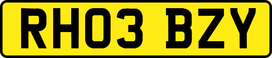 RH03BZY