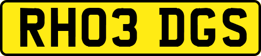RH03DGS