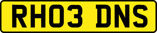 RH03DNS
