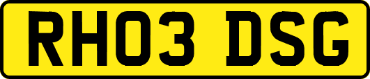 RH03DSG