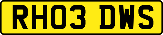 RH03DWS