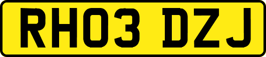 RH03DZJ