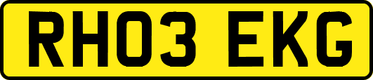 RH03EKG