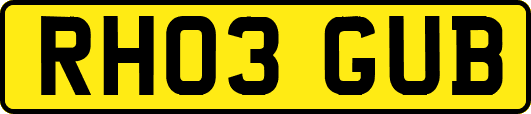 RH03GUB