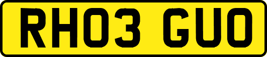RH03GUO