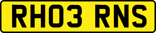 RH03RNS