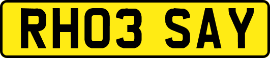 RH03SAY