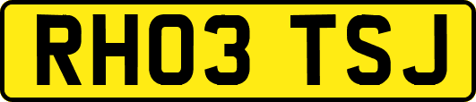 RH03TSJ