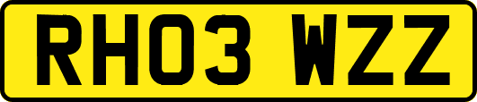 RH03WZZ