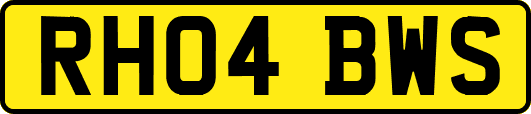 RH04BWS