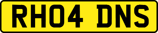 RH04DNS