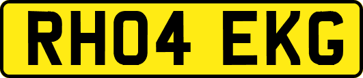 RH04EKG