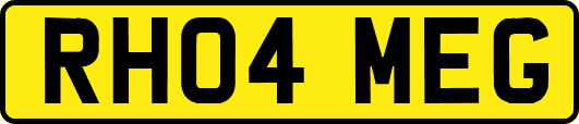 RH04MEG