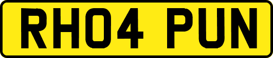 RH04PUN