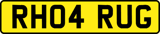 RH04RUG