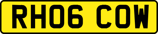 RH06COW