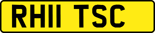 RH11TSC