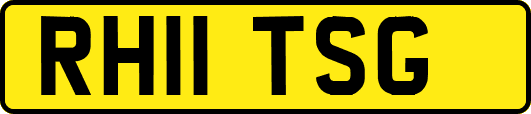 RH11TSG