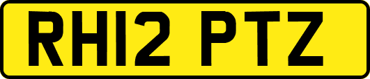 RH12PTZ