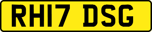 RH17DSG