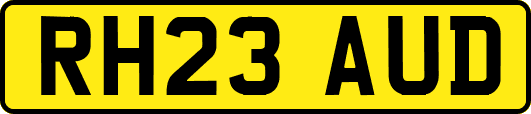 RH23AUD